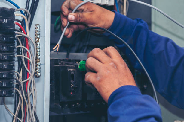Best Electric Panel Repair  in Delta, CO